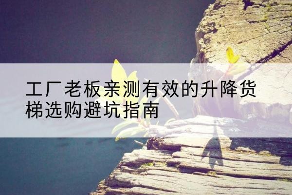 临县升降货梯怎么选-工厂老板亲测有效的升降货梯选购避坑指南