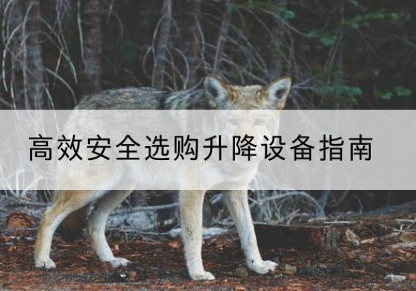 临县升降货梯厂家推荐-*安全选购升降设备指南