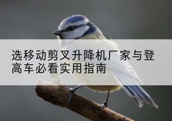 临县电动升降机厂家-选移动剪叉升降机厂家与登高车必看实用指南